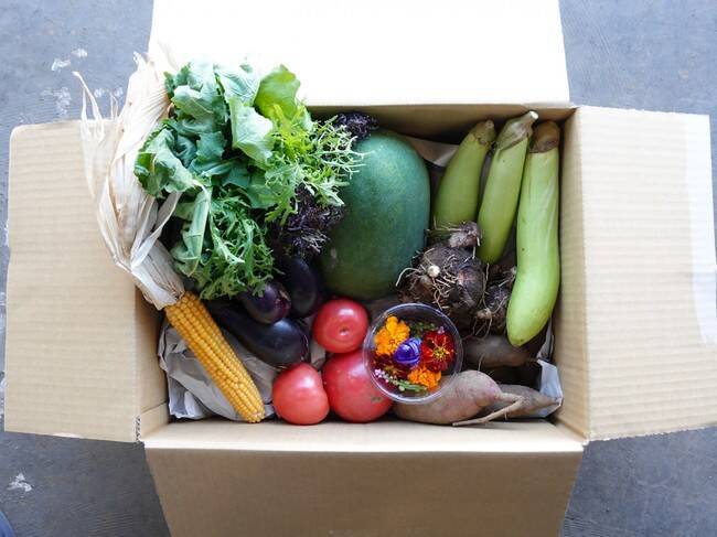 ビーガン・ベジタリアン商品×千葉野菜! そごう千葉店B1Fにベジアイコンが期間限定で初出店