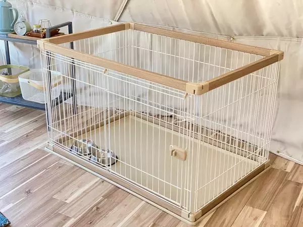「ドームテントに専用BBQ小屋でプライベートな非日常空間。那須高原にグランピング施設「那須ハミルの森」オープン」の画像