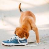 「クラウドファンディングで復活したフットウエアブランド「Simple®」から復刻アイテムを販売」の画像3