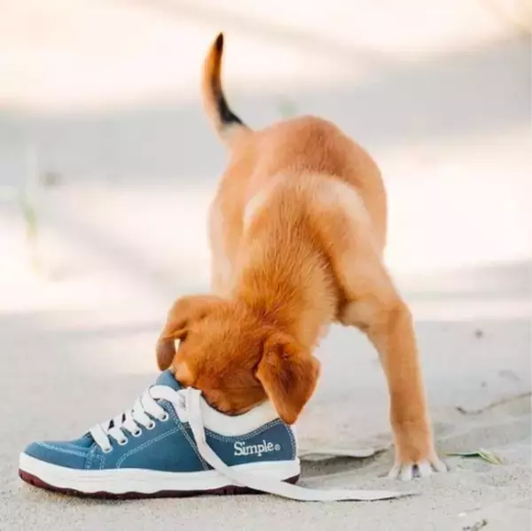 「クラウドファンディングで復活したフットウエアブランド「Simple®」から復刻アイテムを販売」の画像