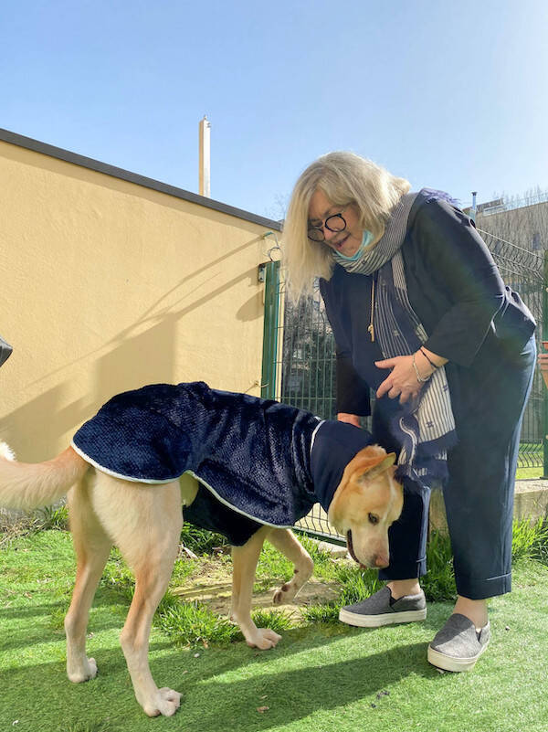 ミラノの街角で出会ったチャーミングなペットたち。愛犬お散歩スナップ in Milano【From cities 世界の都市に憧れて vol.4】