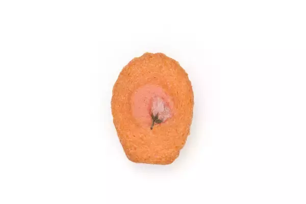 「桜やイチゴを使った春ならではの美味しさ。サダハルアオキの春スイーツが今年も登場」の画像