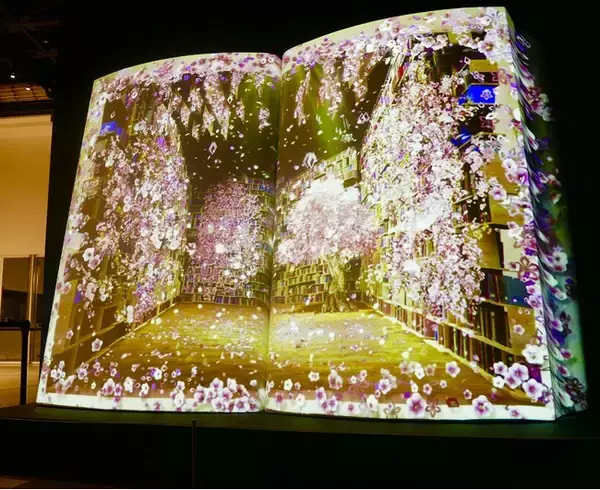 いきものがかり「SAKURA」がネイキッドのプロジェクションマッピングに! 角川武蔵野ミュージアムで期間限定公開