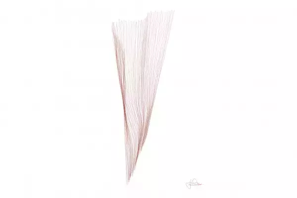 「建築家・青木淳の思考に「タッチ」。ロロ・ピアーナ銀座店で『The Touch Of Architecture』展スタート」の画像