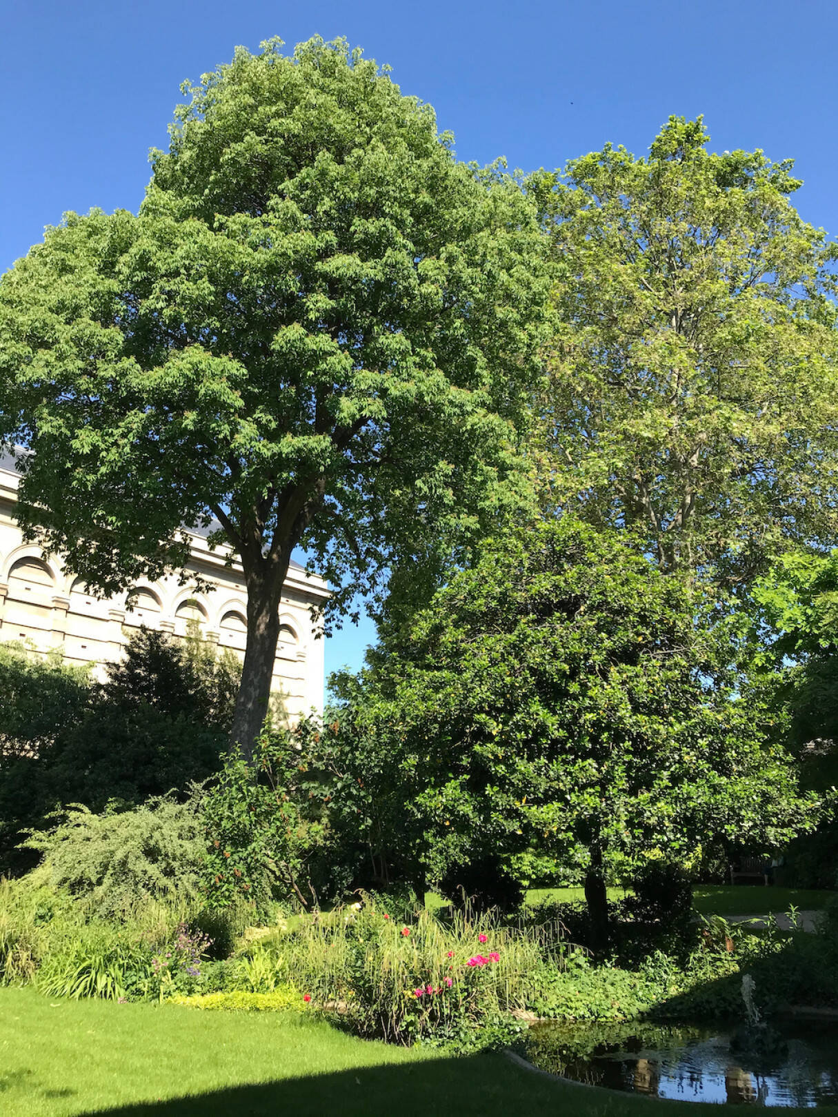 パリジェンヌが足繁く通う、パリ・ランビュトー通りのおすすめグルメ&スポット5選【From cities 世界の都市に憧れて vol.9】