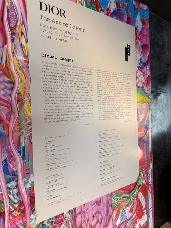 ディオールが支援する若手作家・中川もも、京都で提示する“増殖するイメージ”──KG＋で開催「Clonal Images」