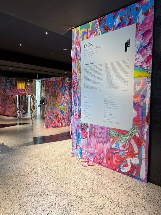 ディオールが支援する若手作家・中川もも、京都で提示する“増殖するイメージ”──KG＋で開催「Clonal Images」