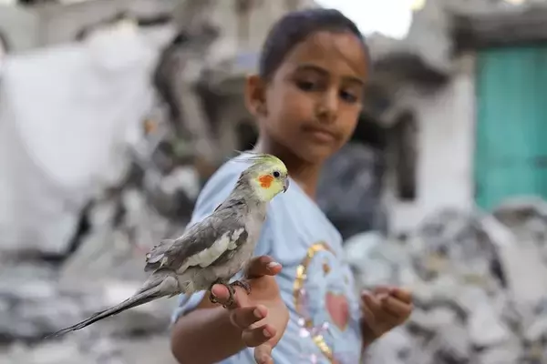 「世界が京都で出会う“境界”──KYOTOGRAPHIE 2026 京都国際写真祭、今年のテーマは「EDGE」」の画像