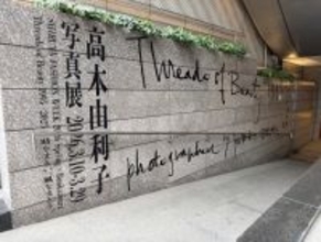 高木由利子、東京の美術館で初個展「Threads of Beauty 1995-2025」──Bunkamuraザ・ミュージアム最後の展覧会として開催