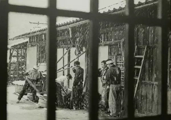 冬に仕込む理由 ― 日本酒「寒仕込み」と小澤酒造の酒造り