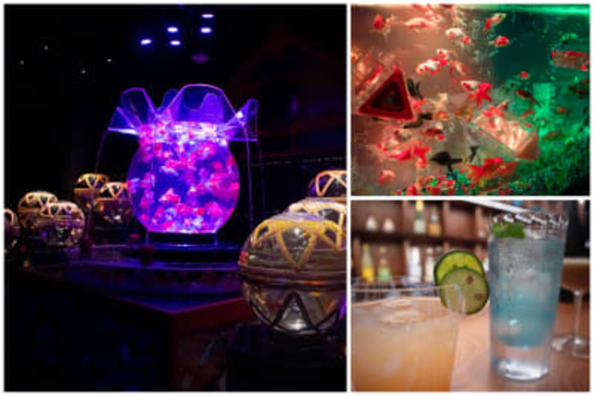 アートアクアリウム が2階建ての施設で常設展示化 6つの新作を含む内部を公開 年8月27日 エキサイトニュース