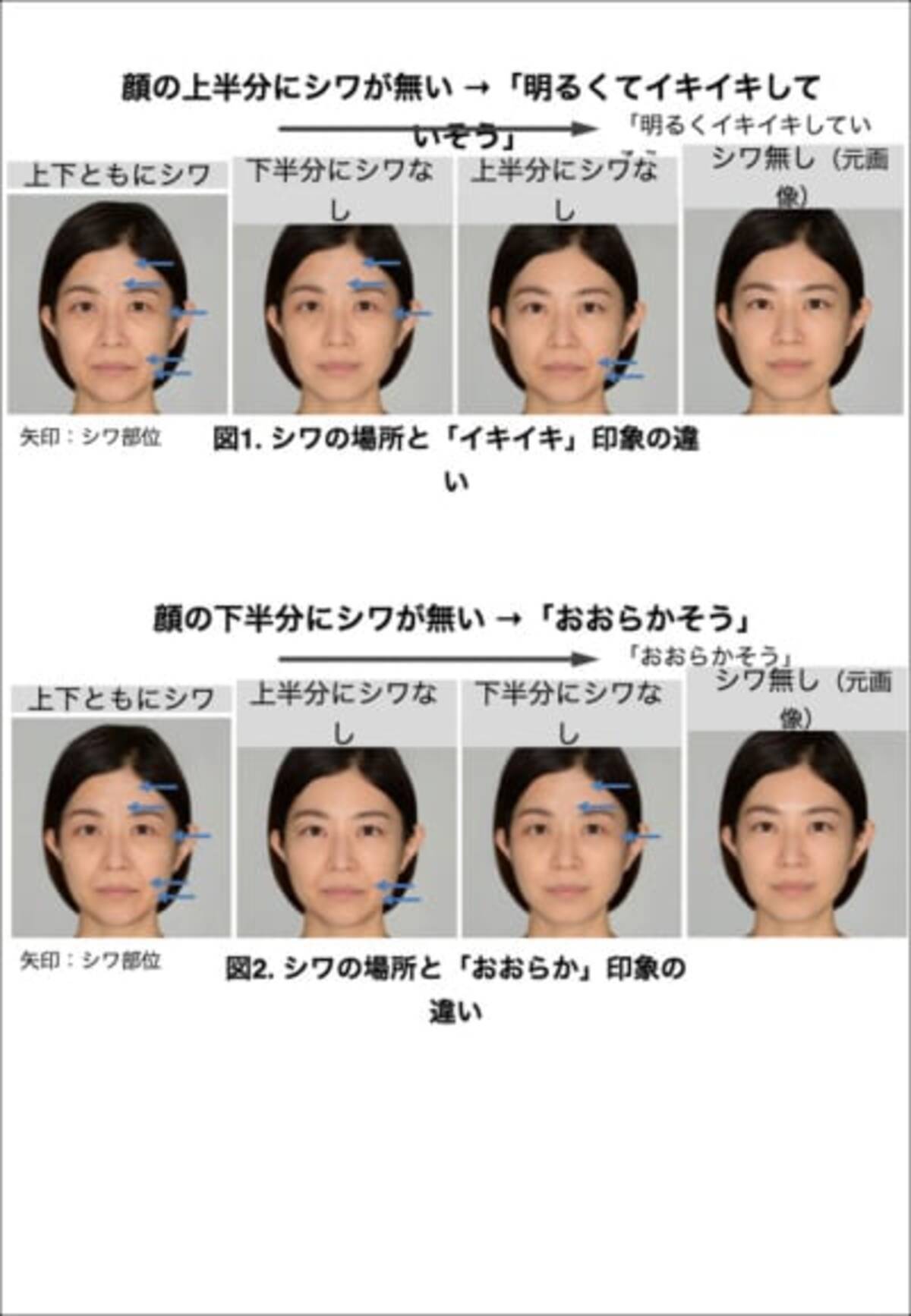 ポーラが顔のシワの分布と与える印象を解明 同一人物でも印象に変化 2021年6月8日 エキサイトニュース