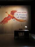 「ハリー・ポッターの大規模巡回展が開催決定、ホグワーツ魔法魔術学校の科目に沿った全10章で展示」の画像1