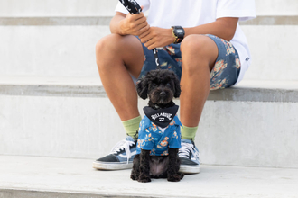 BILLABONGから日本発となるドッグウェアがリリース！ 4月25日（土）七里ヶ浜のPacific DRIVE-INでローンチイベントを開催