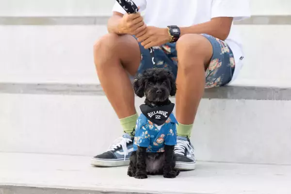 BILLABONGから日本発となるドッグウェアがリリース！ 4月25日（土）七里ヶ浜のPacific DRIVE-INでローンチイベントを開催