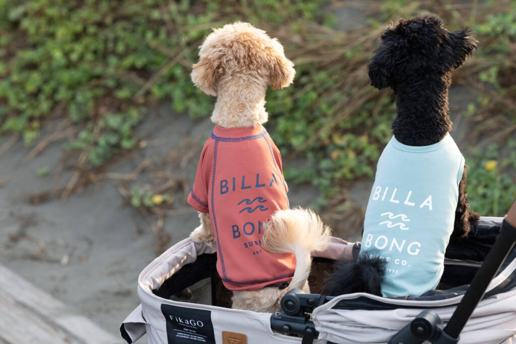 BILLABONGから日本発となるドッグウェアがリリース！ 4月25日（土）七里ヶ浜のPacific DRIVE-INでローンチイベントを開催