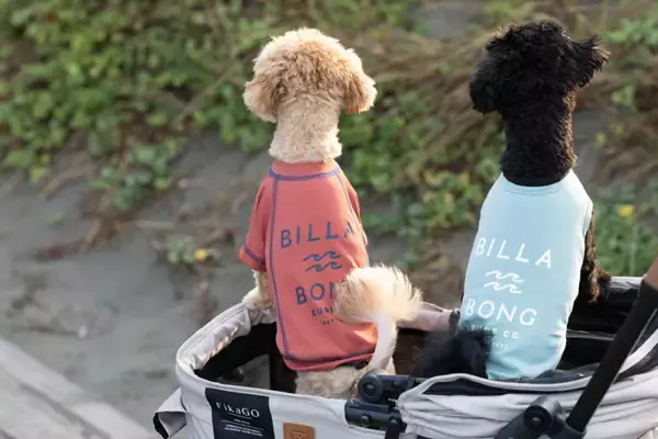 「BILLABONGから日本発となるドッグウェアがリリース！ 4月25日（土）七里ヶ浜のPacific DRIVE-INでローンチイベントを開催」の画像