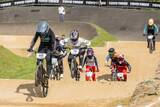「近年の動向から考える。日本国内におけるBMXレースシーンの今後の可能性について」の画像4