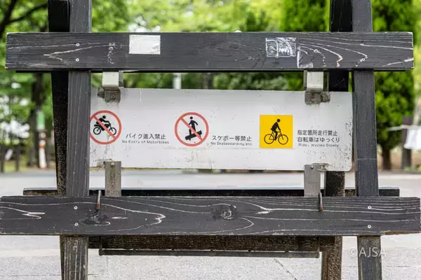 「Skateboarding Unveiled vol.12 ～ストリートとパーク～」の画像