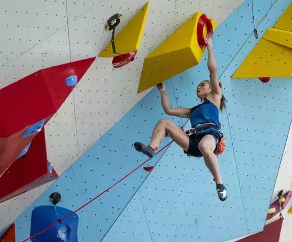 「ついにパリオリンピックへの切符が目の前に！？「オリンピック予選シリーズ ブダペスト大会」の各競技日本人決勝進出者を紹介」の画像