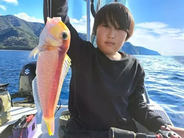 「【釣果速報】アザラシ乱入の珍事態発生！船長の冷静な対応で高級魚アカハタなど大漁ゲット！静岡県プラネットマリンはどんな時も釣り客の笑顔満開！」の画像