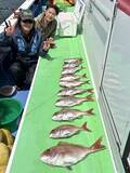「【釣果速報】神奈川県大松丸でマダイ全員ゲット＆竿頭16匹！活性上々で豪華なゲストが釣れる最高のシーズンに突入！」の画像1