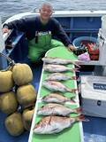 「【釣果速報】神奈川県大松丸でマダイ全員ゲット＆竿頭16匹！活性上々で豪華なゲストが釣れる最高のシーズンに突入！」の画像2