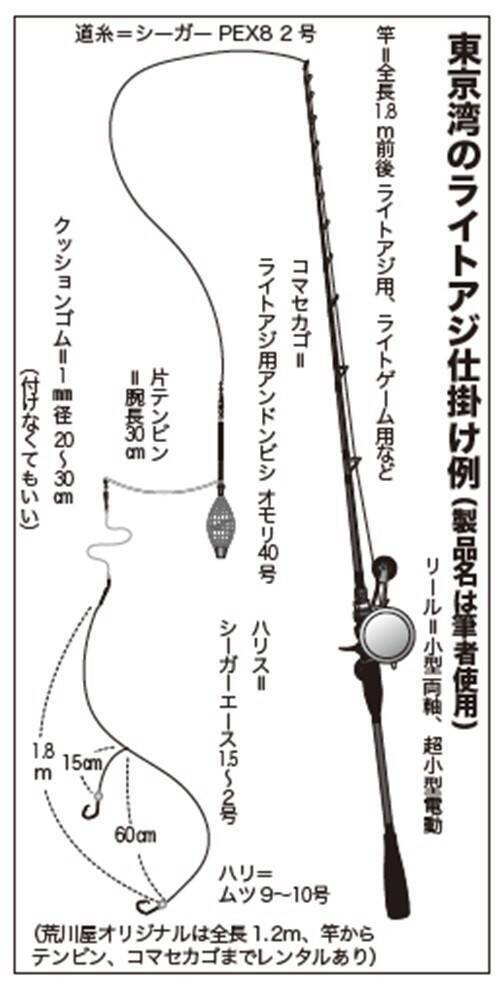 実釣3時間がちょうどいい　良型アジでみんな満足！