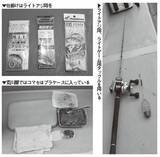 「実釣3時間がちょうどいい　良型アジでみんな満足！」の画像5