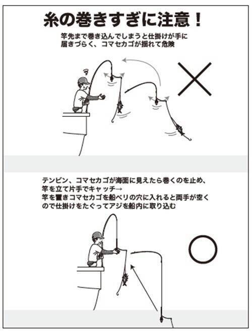 実釣3時間がちょうどいい　良型アジでみんな満足！