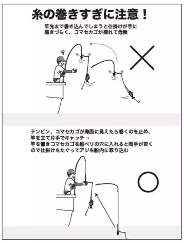 「実釣3時間がちょうどいい　良型アジでみんな満足！」の画像