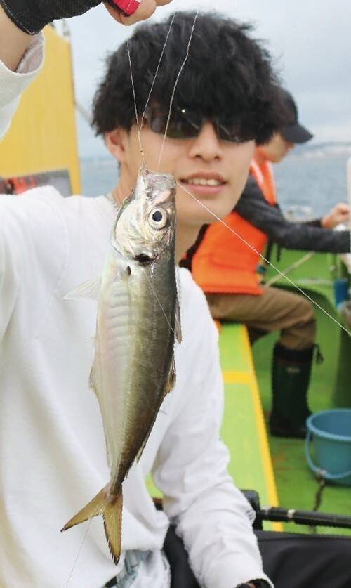実釣3時間がちょうどいい　良型アジでみんな満足！