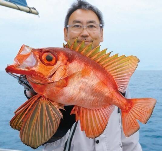 本命キンメ＆裏本命キントキ　真鶴沖の深場で一挙両得！