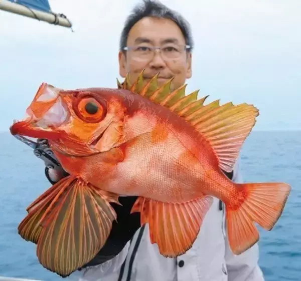 「本命キンメ＆裏本命キントキ　真鶴沖の深場で一挙両得！」の画像