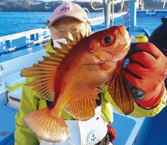 本命キンメ＆裏本命キントキ　真鶴沖の深場で一挙両得！