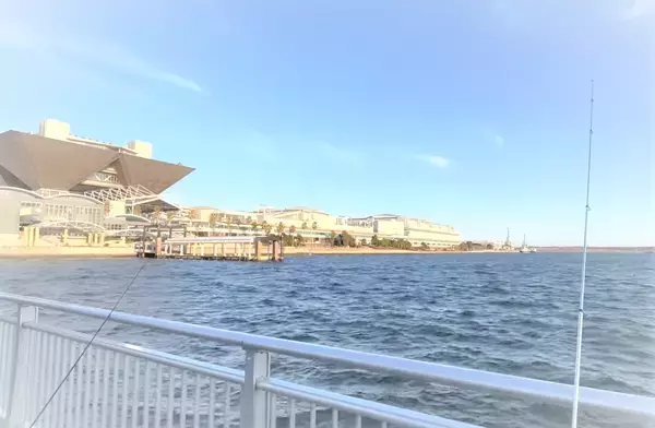 「東京湾をぐるり巡って釣りを楽しみたい！どんな釣り方をすればいいの？」の画像