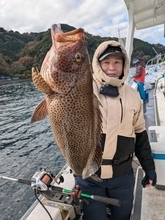 【釣果速報】静岡県魚磯丸でオオモンハタ＆ホウキハタの人気コンビゲット！！2025年の締めくくりに迫力のファイトを楽しみませんか？