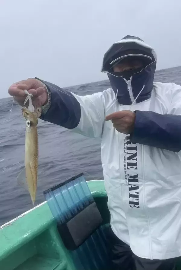 【釣果速報】茨城県長岡丸でヤリイカ釣行が好調！最大50cm！冬の絶品ヤリイカを自分の手で釣り上げてみませんか？