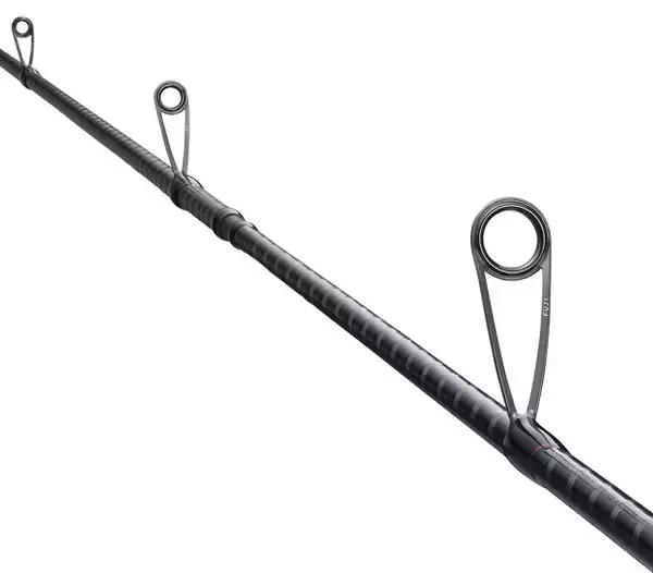 「セフィアBBでエギングを楽しみたい！シマノのコスパ優秀ロッド！」の画像