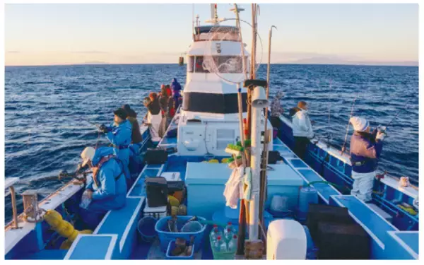 50cmオーバーの大型＋シロアマダイも！相模湾のアマダイ佳境