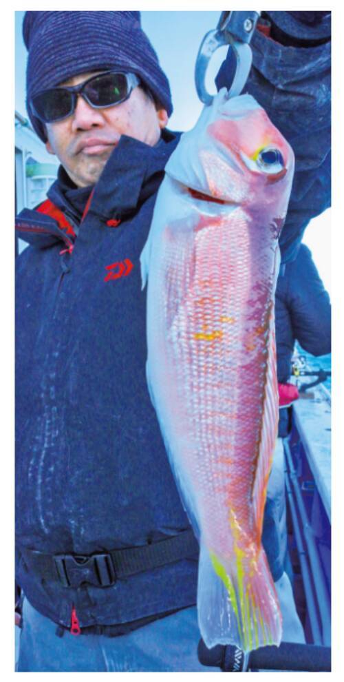 50cmオーバーの大型＋シロアマダイも！相模湾のアマダイ佳境