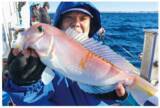 「50cmオーバーの大型＋シロアマダイも！相模湾のアマダイ佳境」の画像5