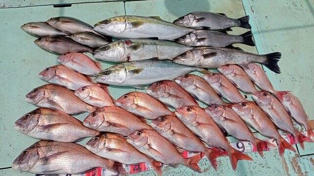 【釣果速報】和歌山県海斗丸でタイ・メジロ・イサギと人気魚種続々ゲット！いろいろな魚との出会いを楽しみたい人は即予約を！