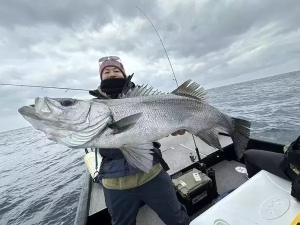 【釣果速報】福岡県遊漁船MASAで80cmのヒラスズキGET！あなたも今すぐ自己最高記録を更新しに行こう！