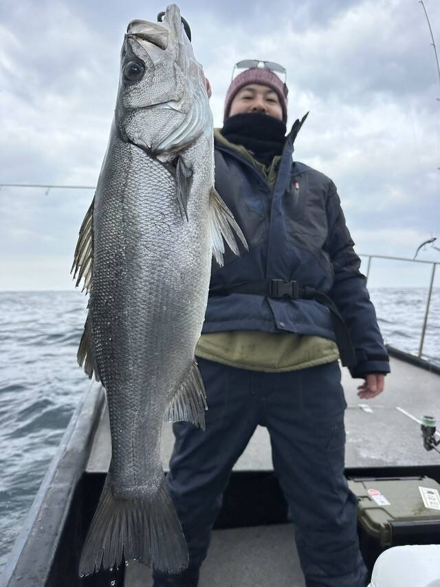 【釣果速報】福岡県遊漁船MASAで80cmのヒラスズキGET！あなたも今すぐ自己最高記録を更新しに行こう！