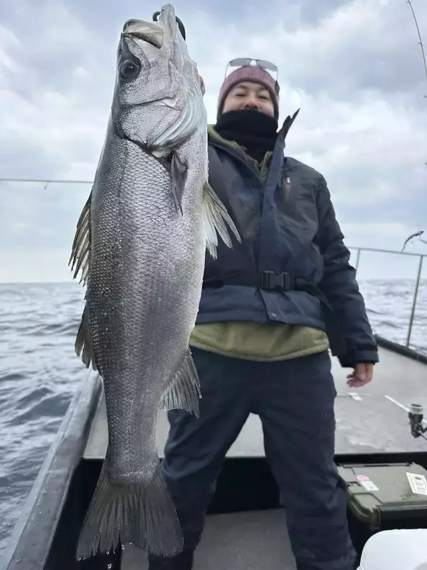「【釣果速報】福岡県遊漁船MASAで80cmのヒラスズキGET！あなたも今すぐ自己最高記録を更新しに行こう！」の画像