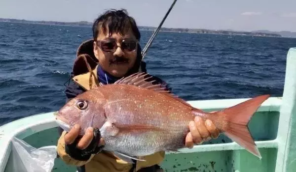 【釣果速報】強風をものともせずクロダイ・マダイのヒットが連発！神奈川県あまさけや丸の釣行でクーラーボックスを人気魚種でいっぱいにしよう！