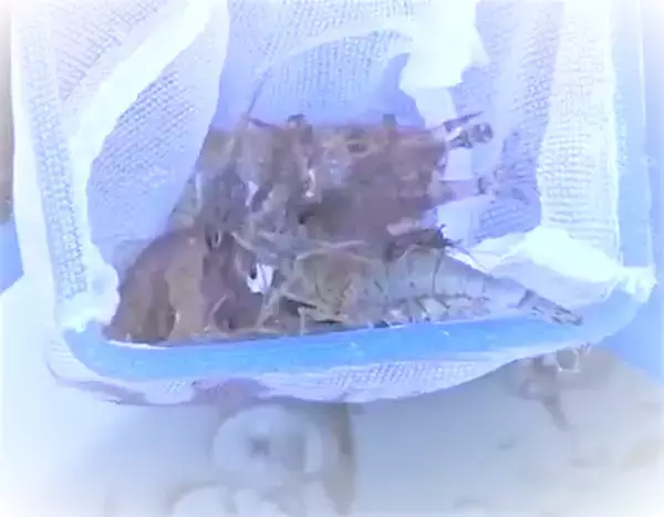 「海釣りのエサを使ってカンタンに魚をゲットする方法！どんな仕掛けがいいの？」の画像