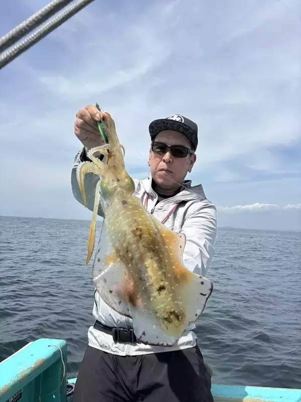 【釣果速報】神奈川県哲夫丸のアオリイカ船は4月も好調！今なら数釣りとキロオーバーの大型狙いどちらもOK！