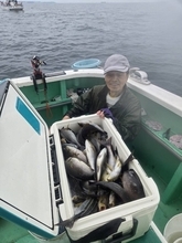 【釣果速報】神奈川県瀬戸丸でイサキ一日好調！50匹前後の好釣果を出す釣り客多数！あなたも記録更新を狙ってみませんか？